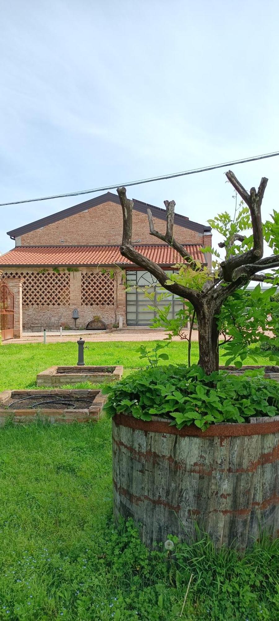 B&B Rocambola Nogara Exterior photo